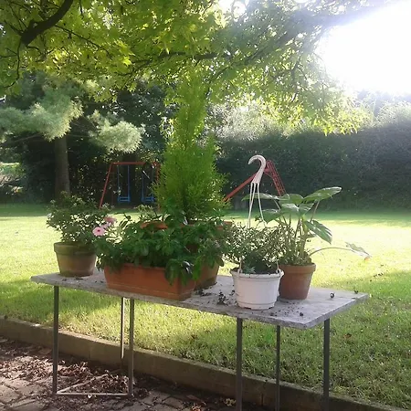 Miotto Bed & Breakfast 3*