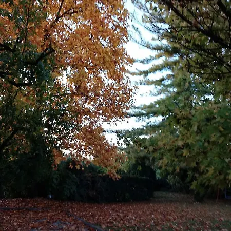 Miotto Bed & Breakfast Montegalda