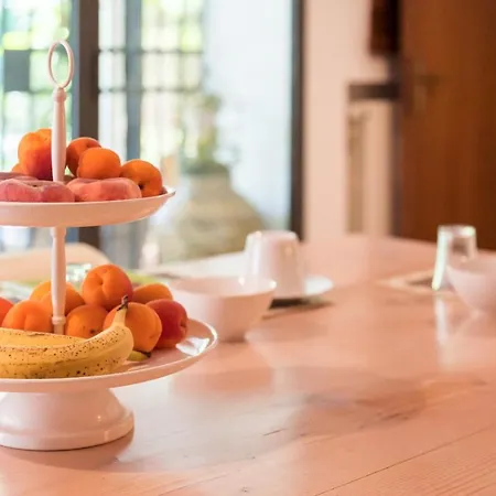 Bed & Breakfast Miotto Montegalda